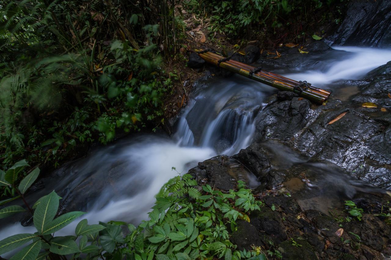 Bali Eco Adventure And Retreat Center Hotel Tegallalang  Kültér fotó