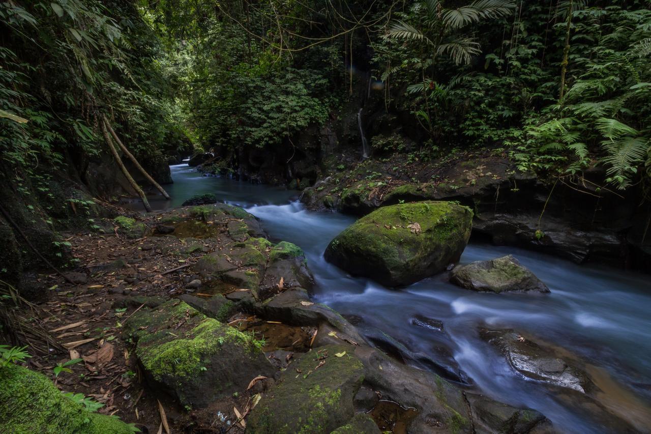 Bali Eco Adventure And Retreat Center Hotel Tegallalang  Kültér fotó