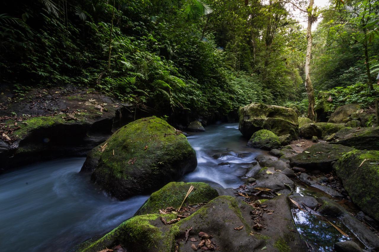 Bali Eco Adventure And Retreat Center Hotel Tegallalang  Kültér fotó