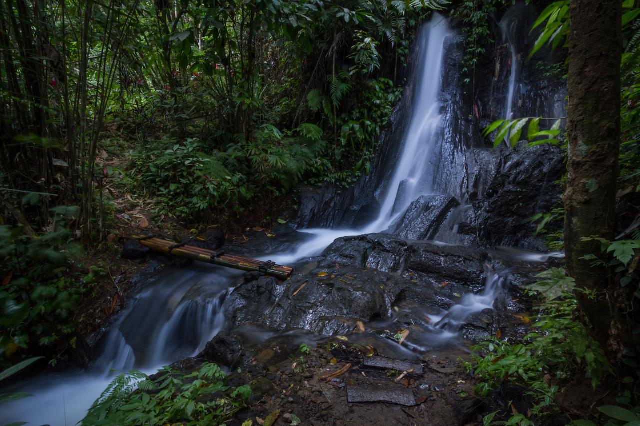 Bali Eco Adventure And Retreat Center Hotel Tegallalang  Kültér fotó